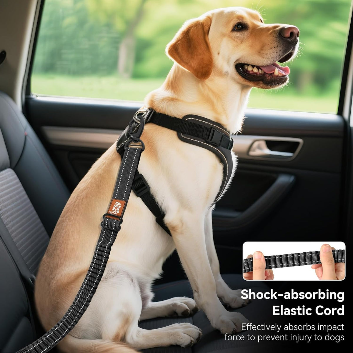 2Pcs Dog Seat Belt, Dog Car Seat Belt Bungee for Pet, Black